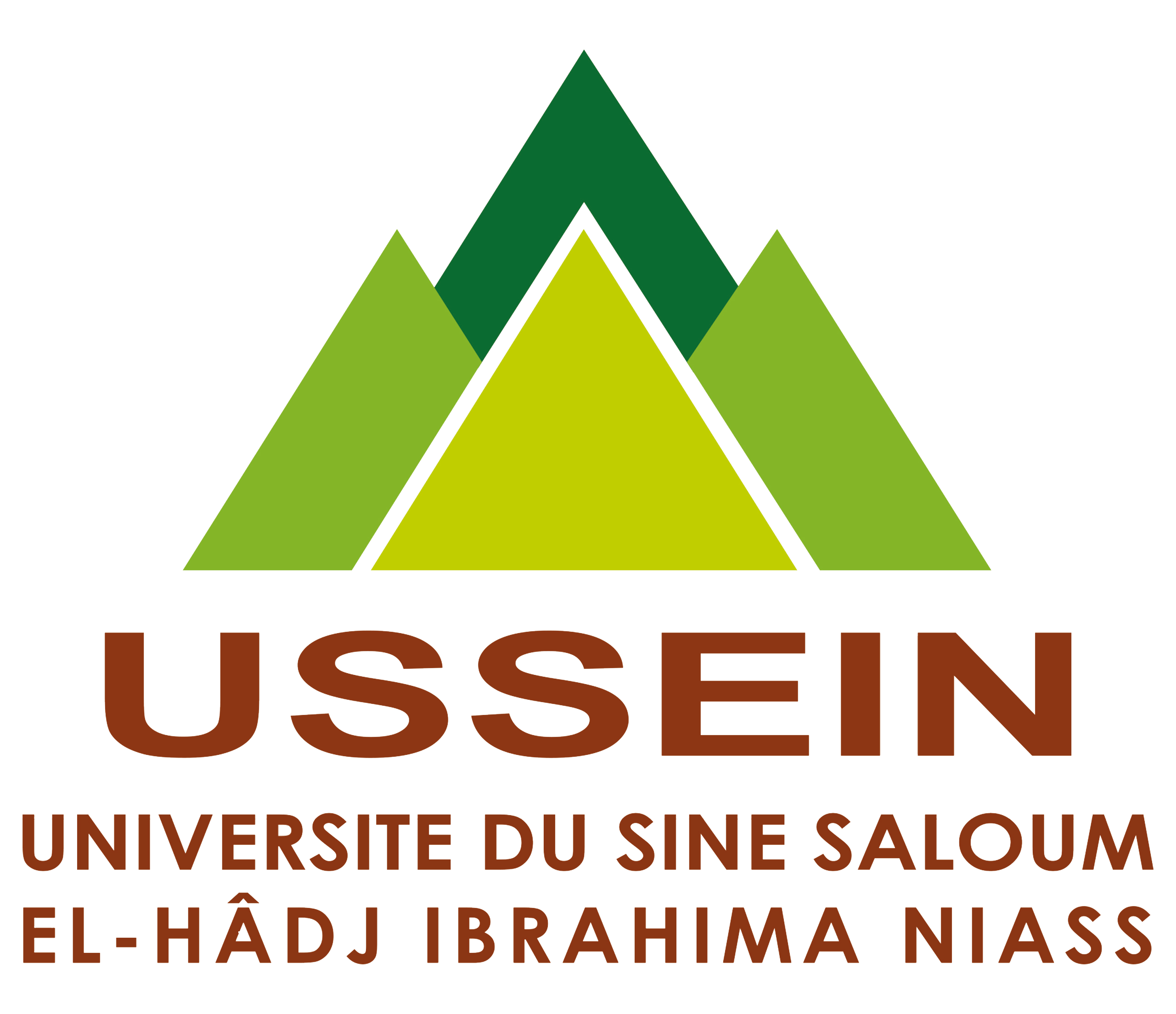 Université du Sine Saloum El-Hâdj Ibrahima NIASS - Engagement, Expérience, Excellence