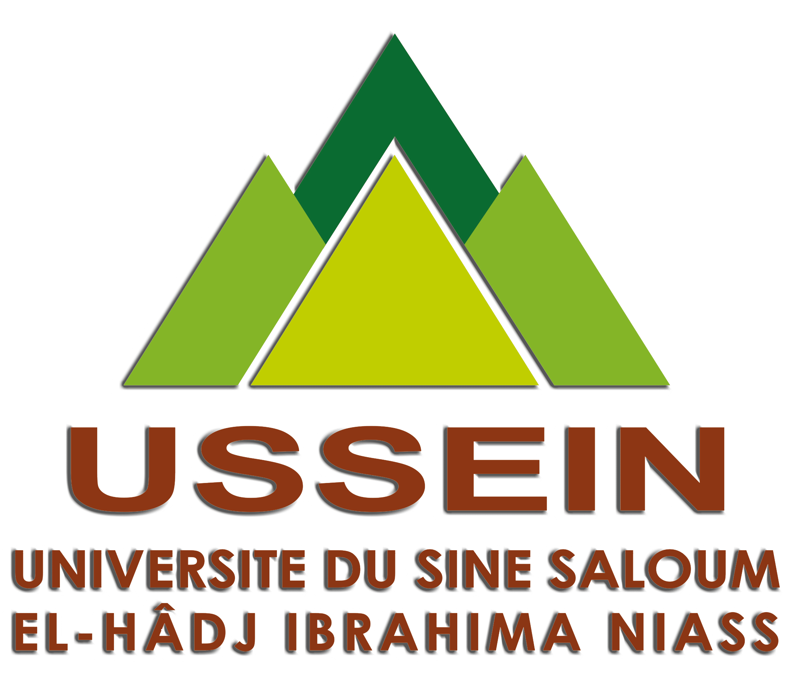 Université du Sine Saloum El-Hâdj Ibrahima NIASS - 