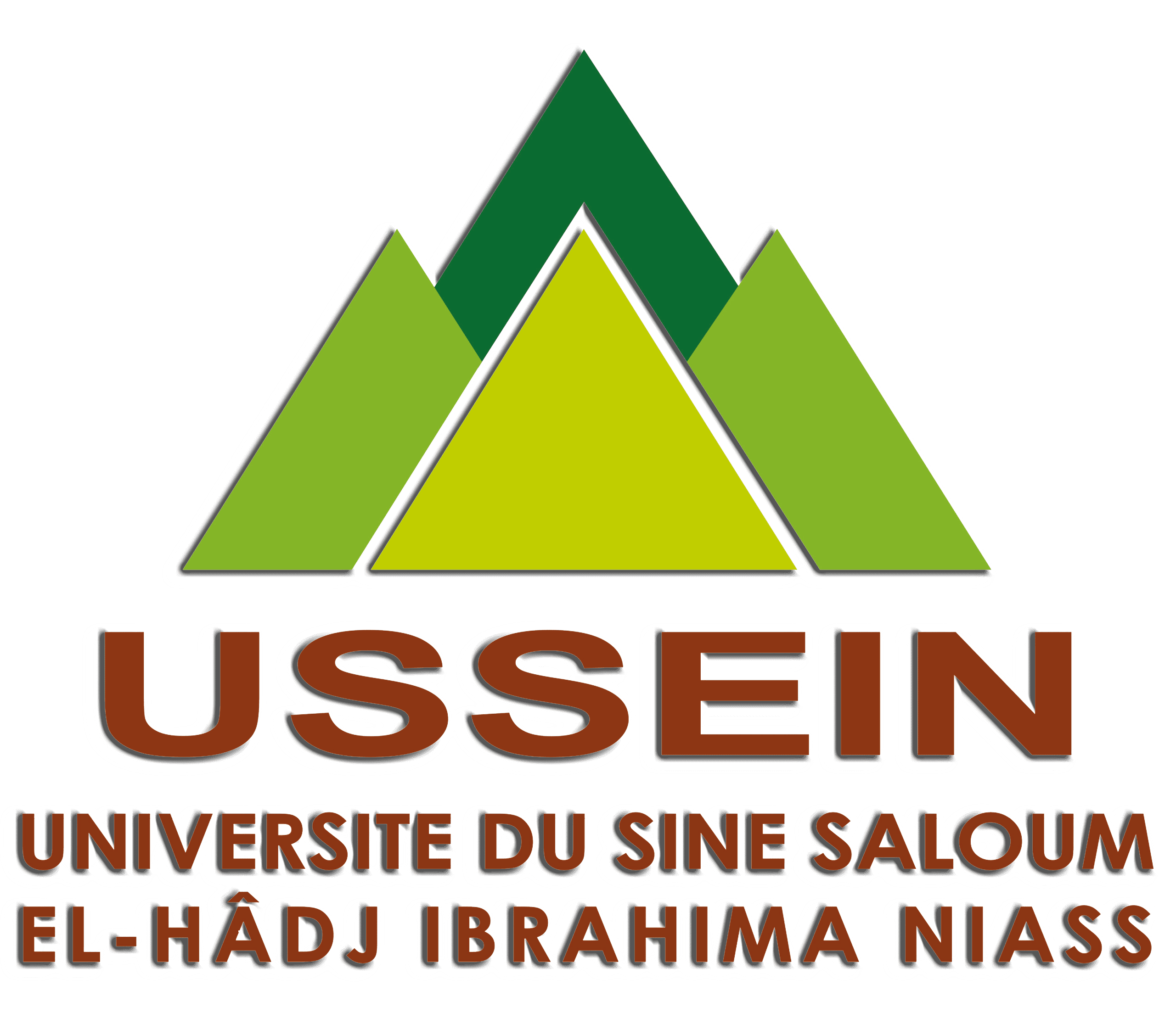 Université du Sine Saloum El-Hâdj Ibrahima NIASS - Engagement, Expérience, Excellence