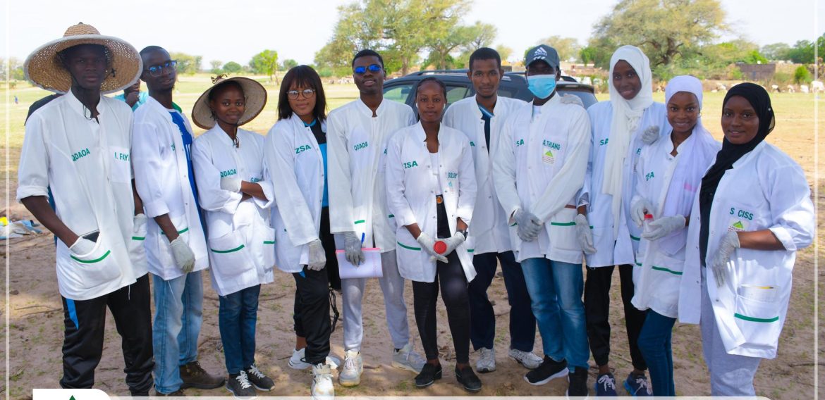 Les étudiants de la licence 2 Sciences et technique d’élevage (STE) en pratique dans la zone rurale de Gniby et Kahi ( département de Kaffrine)