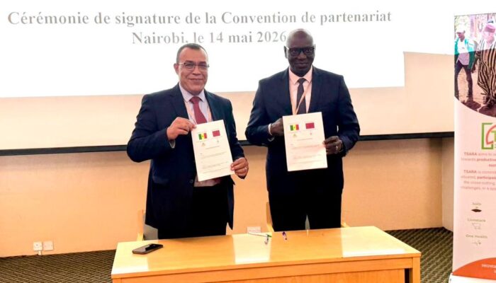 L’USSEIN et l’ENA de Meknès renforcent leur coopération académique et scientifique